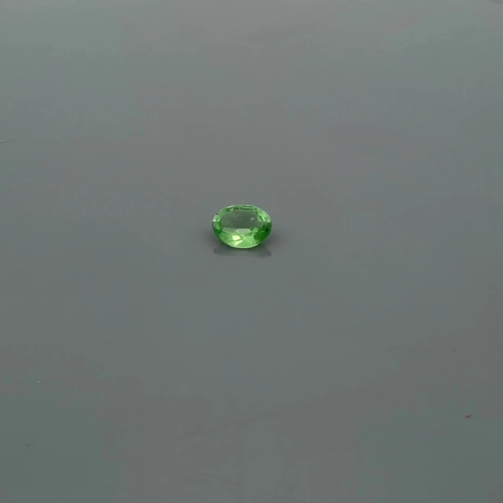 0.36ct Oval Natural Garnet (Colour Green, Clarity Slightly Included, Cut Faceted) - Prestige Stones