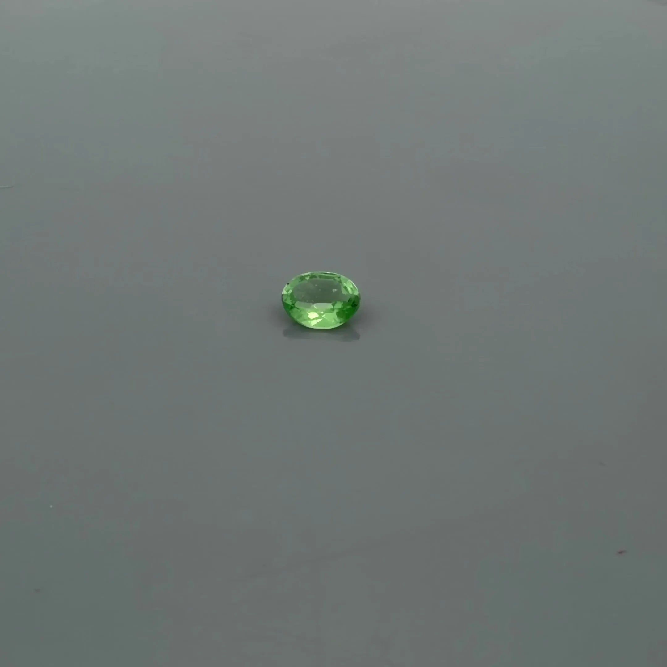 0.36ct Oval Natural Garnet (Colour Green, Clarity Slightly Included, Cut Faceted) - Prestige Stones