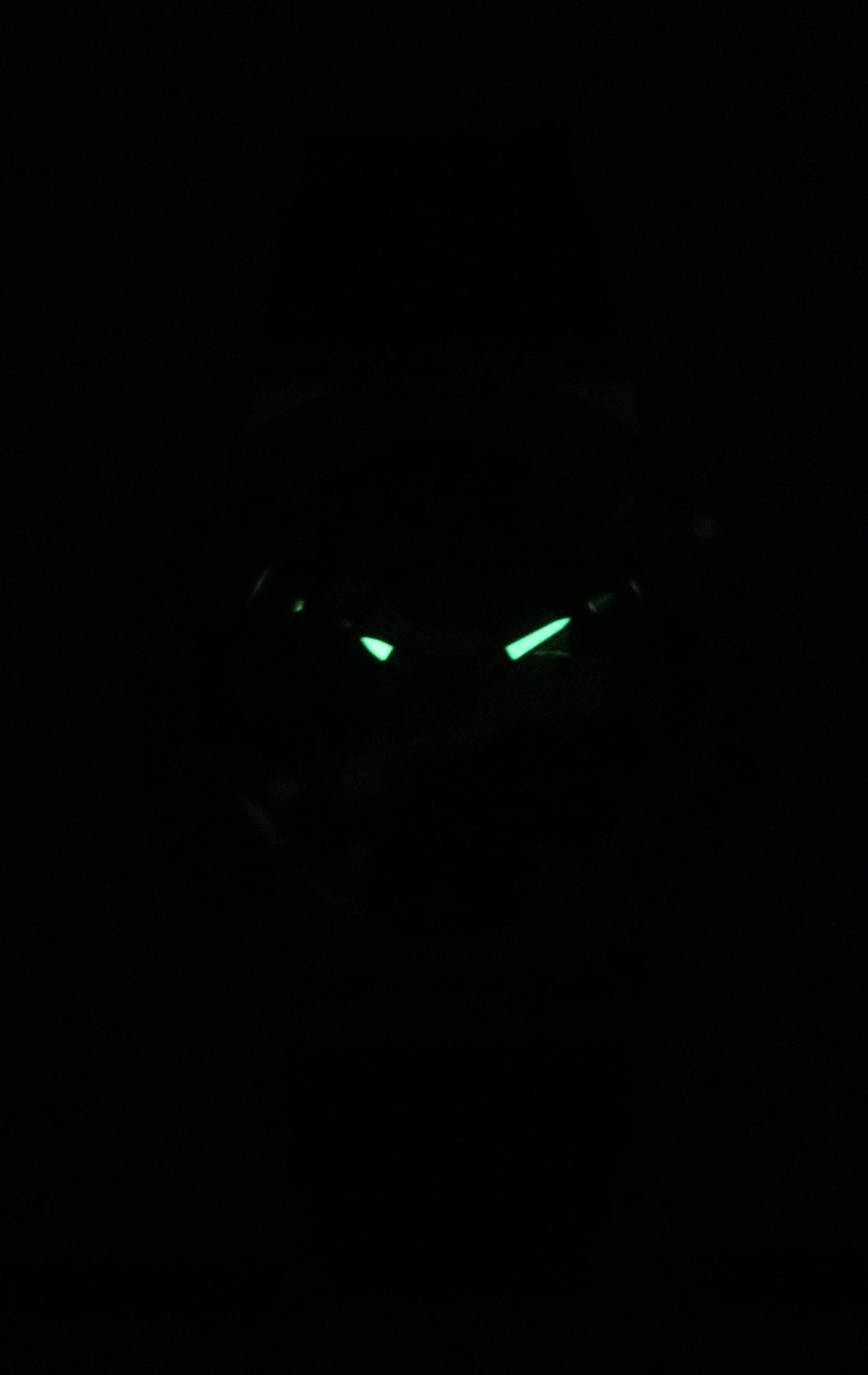 Casio G-Shock Beautiful People Collaboration Analog Digital Quartz GM-S110BP-5A 200M Women's Watch