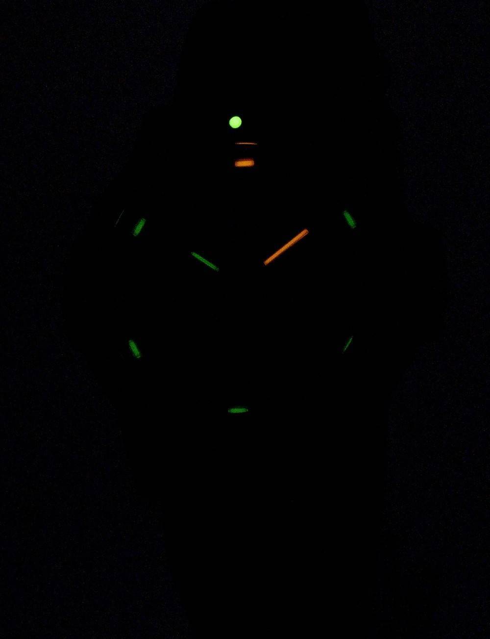 Luminox Leatherback Sea Turtle XS.0333 Quartz Men's Watch - Prestige Stones